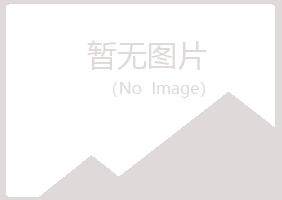 克山县宿命会计有限公司